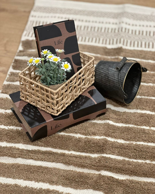 بساط Ahan بني