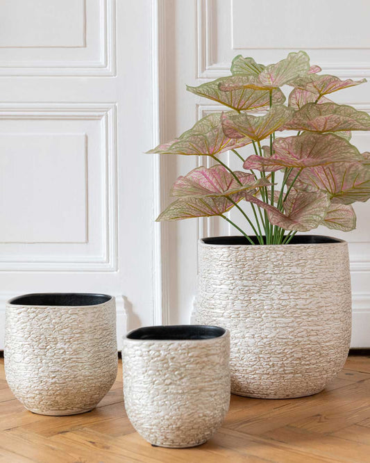 مزهرية "Audrey "