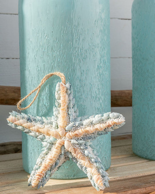 نجمة البحر أزرق