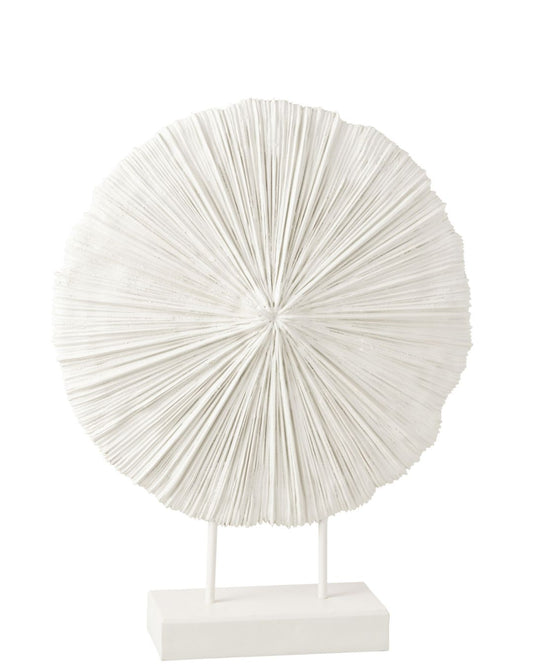 إكليل "Coral"أبيض