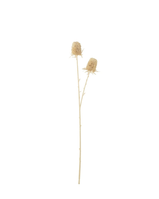 غصن "Marigold " باللون البيج