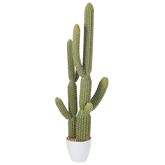 115 صبار مع قاعدة بلاستيك سم