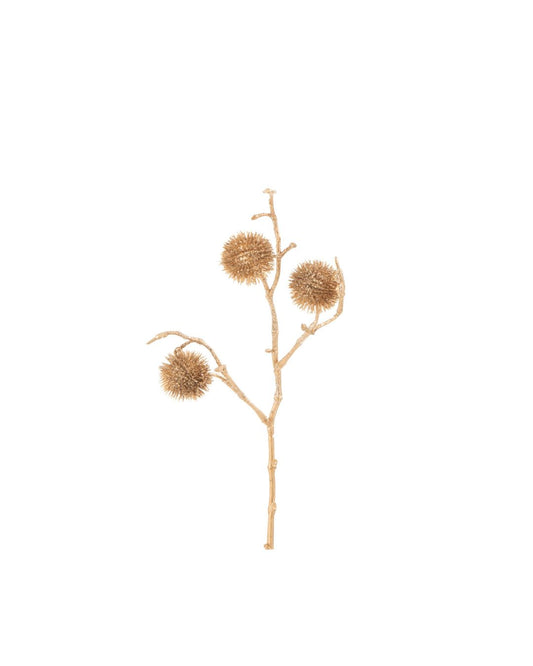 غصن"Thistle"