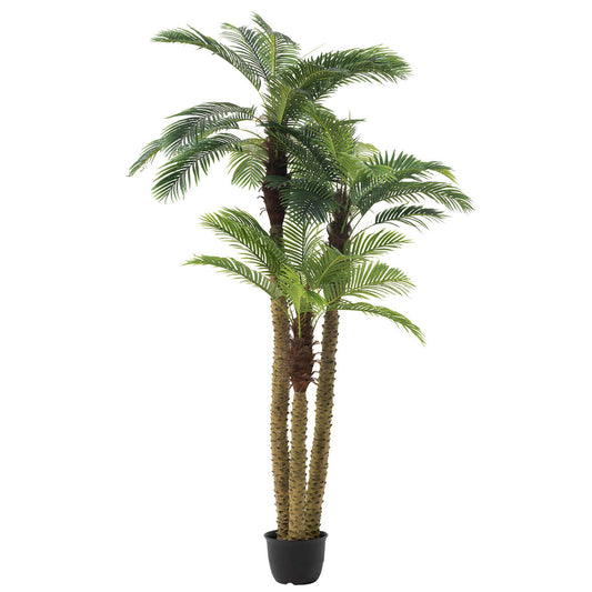 نخيل مع قاعدة بلاستيك 3 فروع