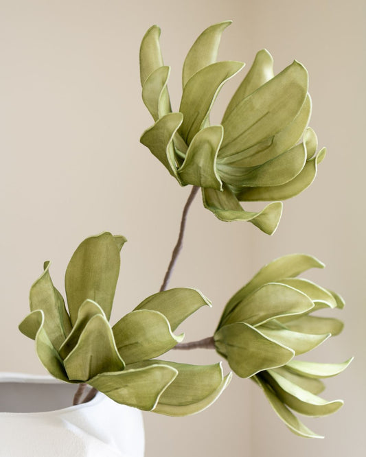 غصن"Eva"ثلاث فروع أخضر