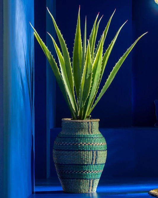 مزهرية "Cécile"