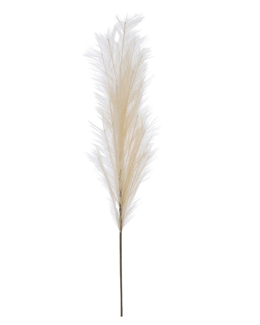 غصن "Plumeau "بيج