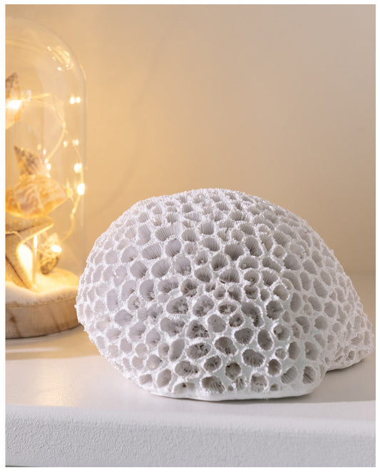 مرجان دائري "ابيض"