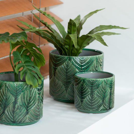 قوارة كراميكا " Tropical" لون أخضر