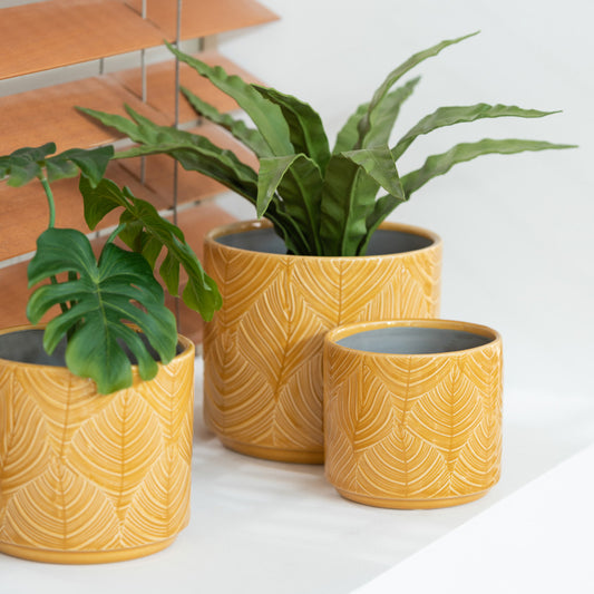 قوارة كراميكا " Tropical" لون أصفر