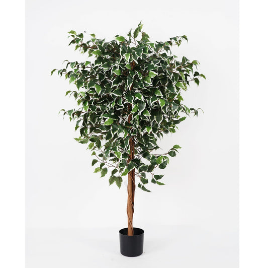 شجرة " Panyan white" 139 cm