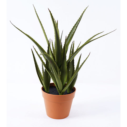 شجرة " Aloe " 55 cm