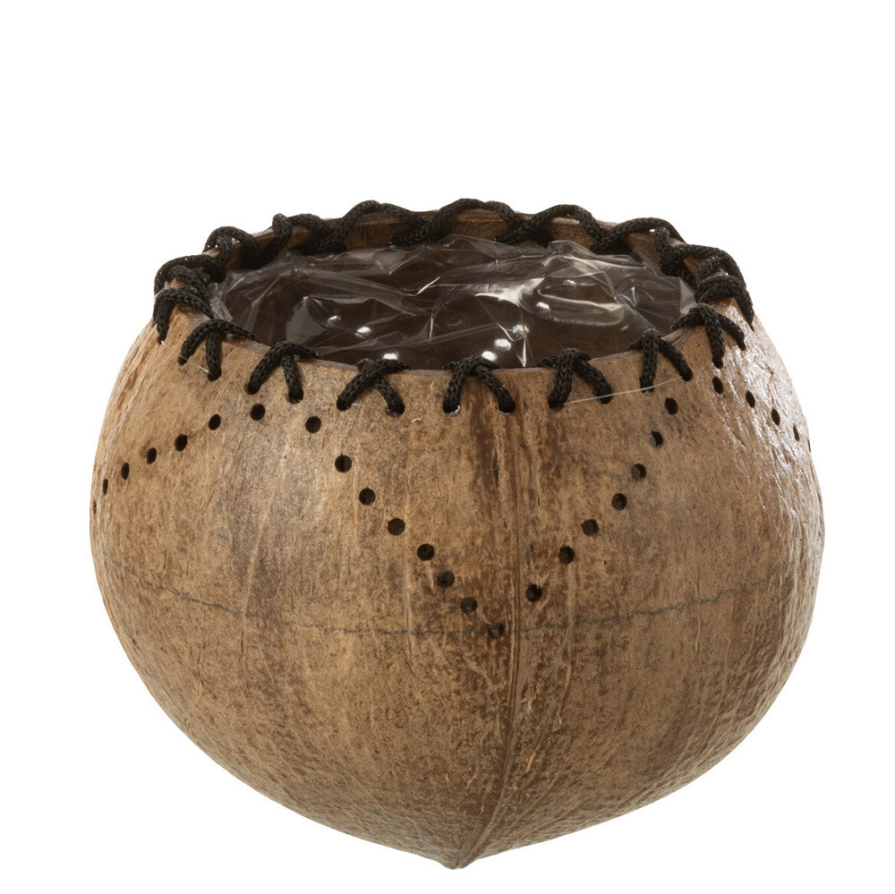 مزهرية "Coconut "