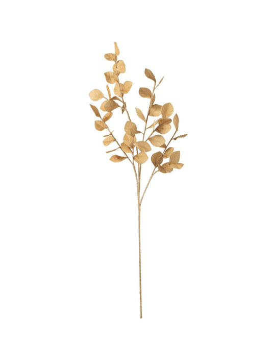 غصن"Eva" بيج