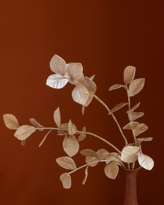 غصن"Eva" بيج