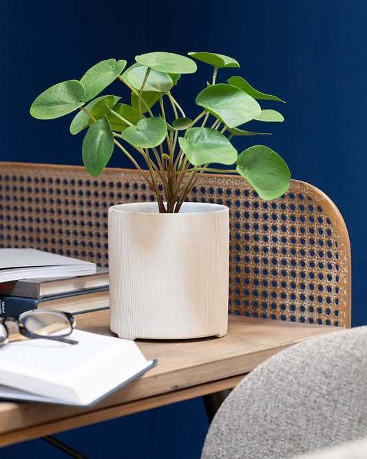 ⁨⁨⁨⁨⁨⁨مزهرية"Maria"باللون البيج