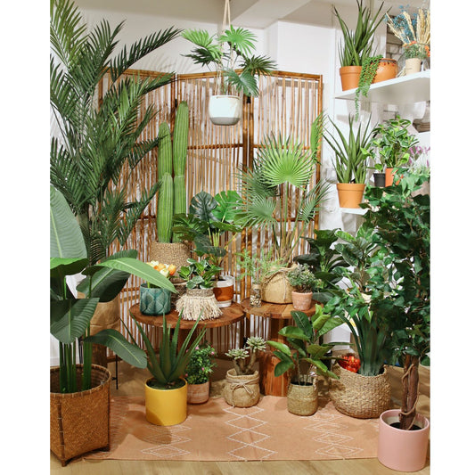 شجرة " Aloe " 55 cm