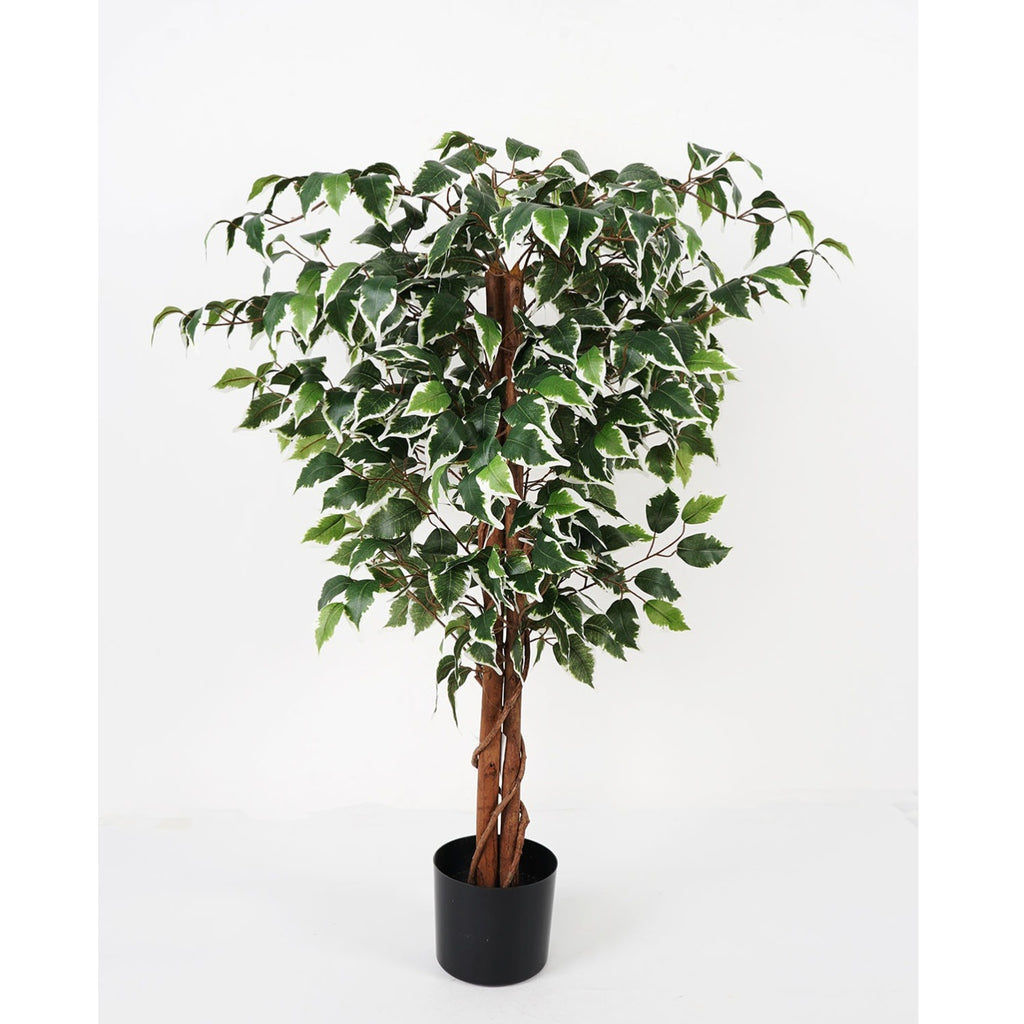شجرة " Panyan white" 110 cm