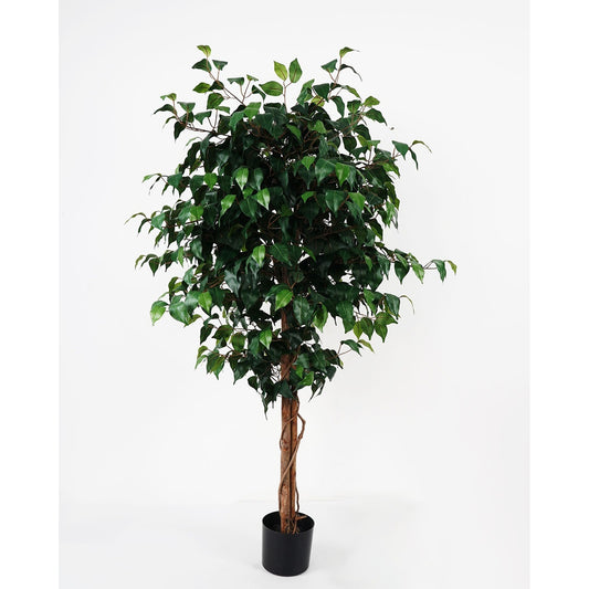 شجرة " Panyan green" 139 cm