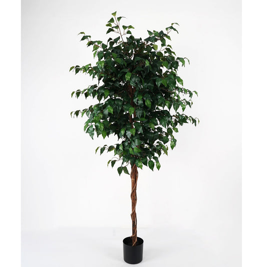 شجرة " Panyan green" 179 cm