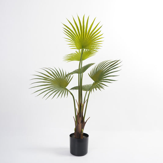 شجرة " Palm " 100 cm