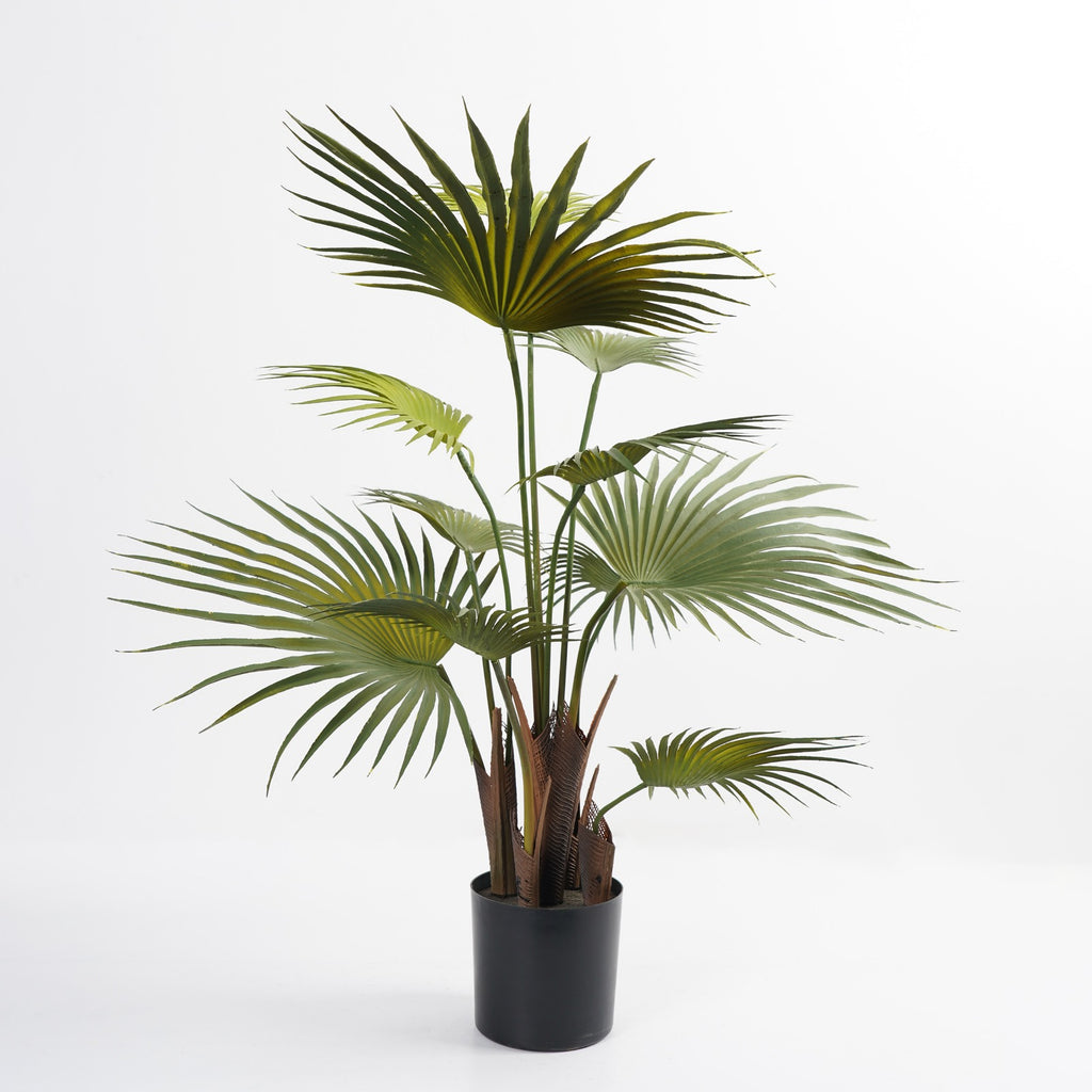 شجرة " Palm " 73 cm